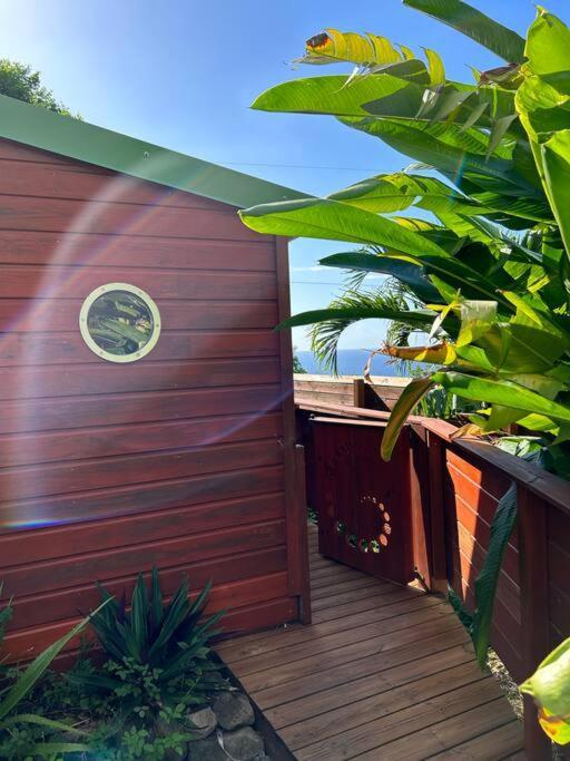 Bungalow, Gite Les Fleurs Du Colibri Bouillante Kültér fotó